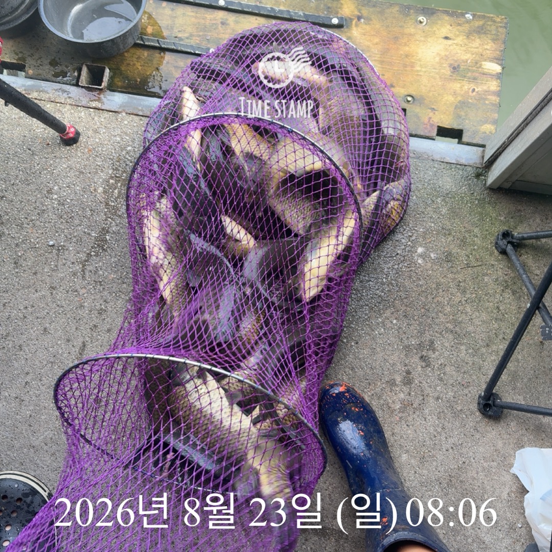 KakaoTalk_20260825_080421436_04.jpg