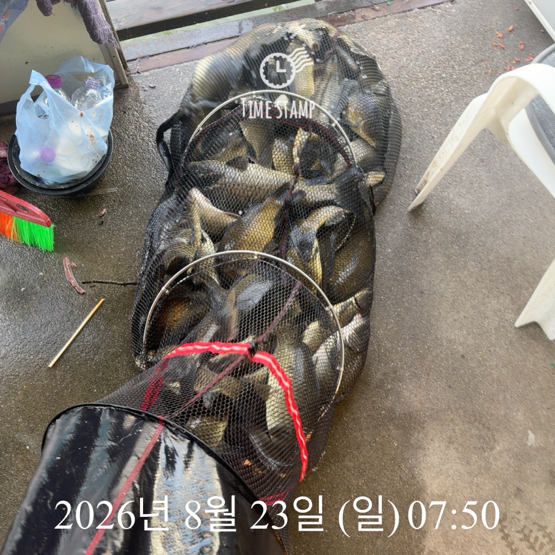 KakaoTalk_20260825_080421436_09.jpg