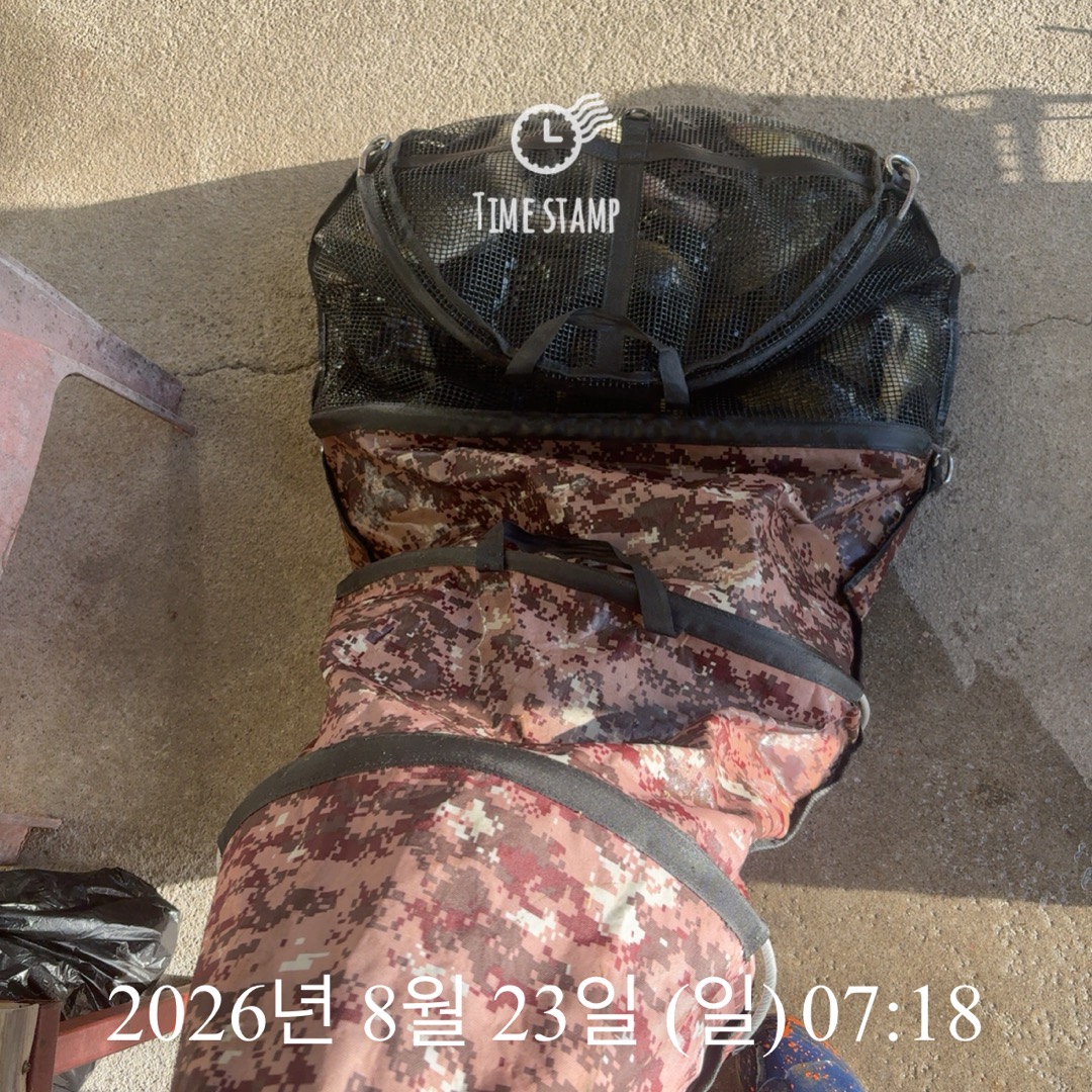 KakaoTalk_20260825_080421436_10.jpg