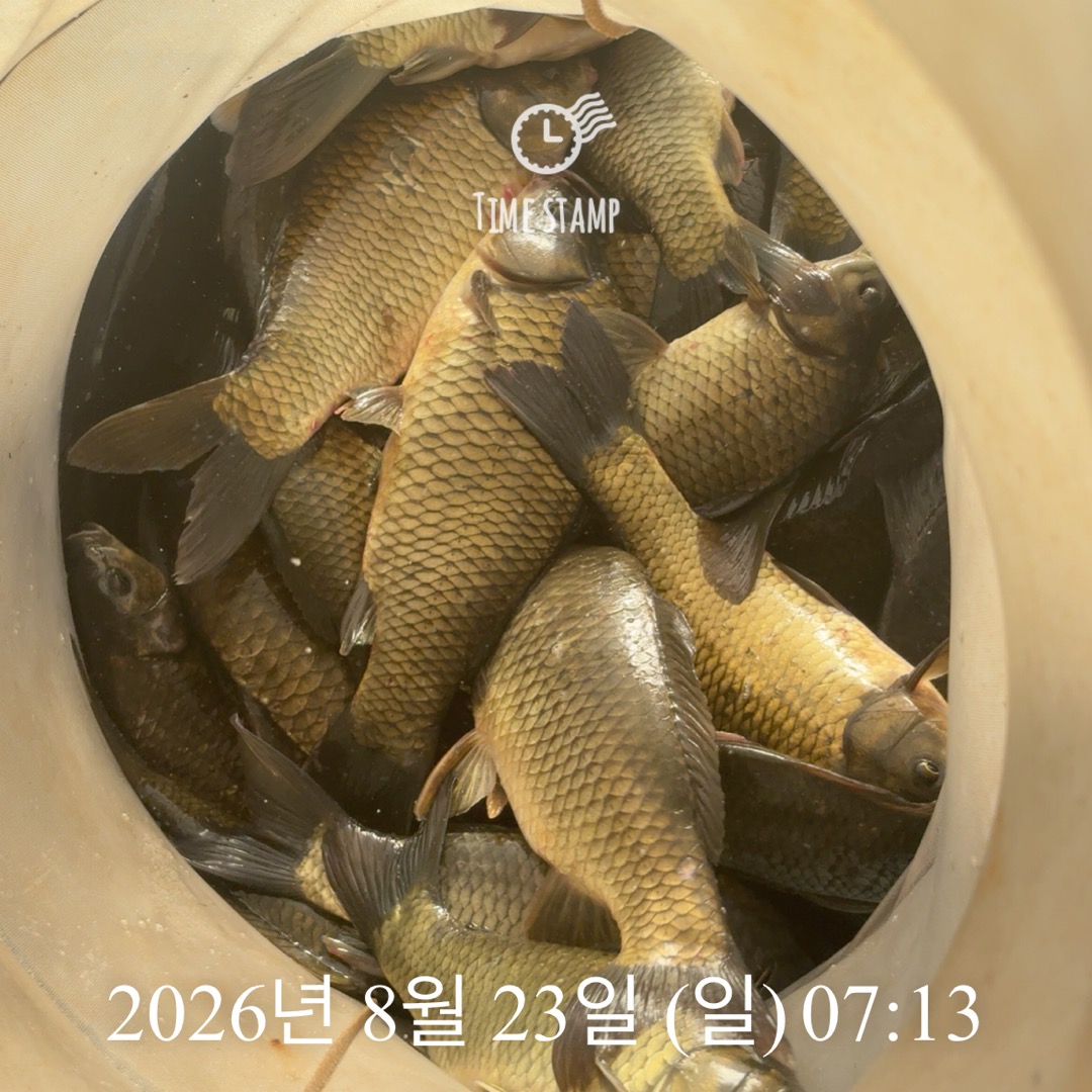KakaoTalk_20260825_080421436_12.jpg