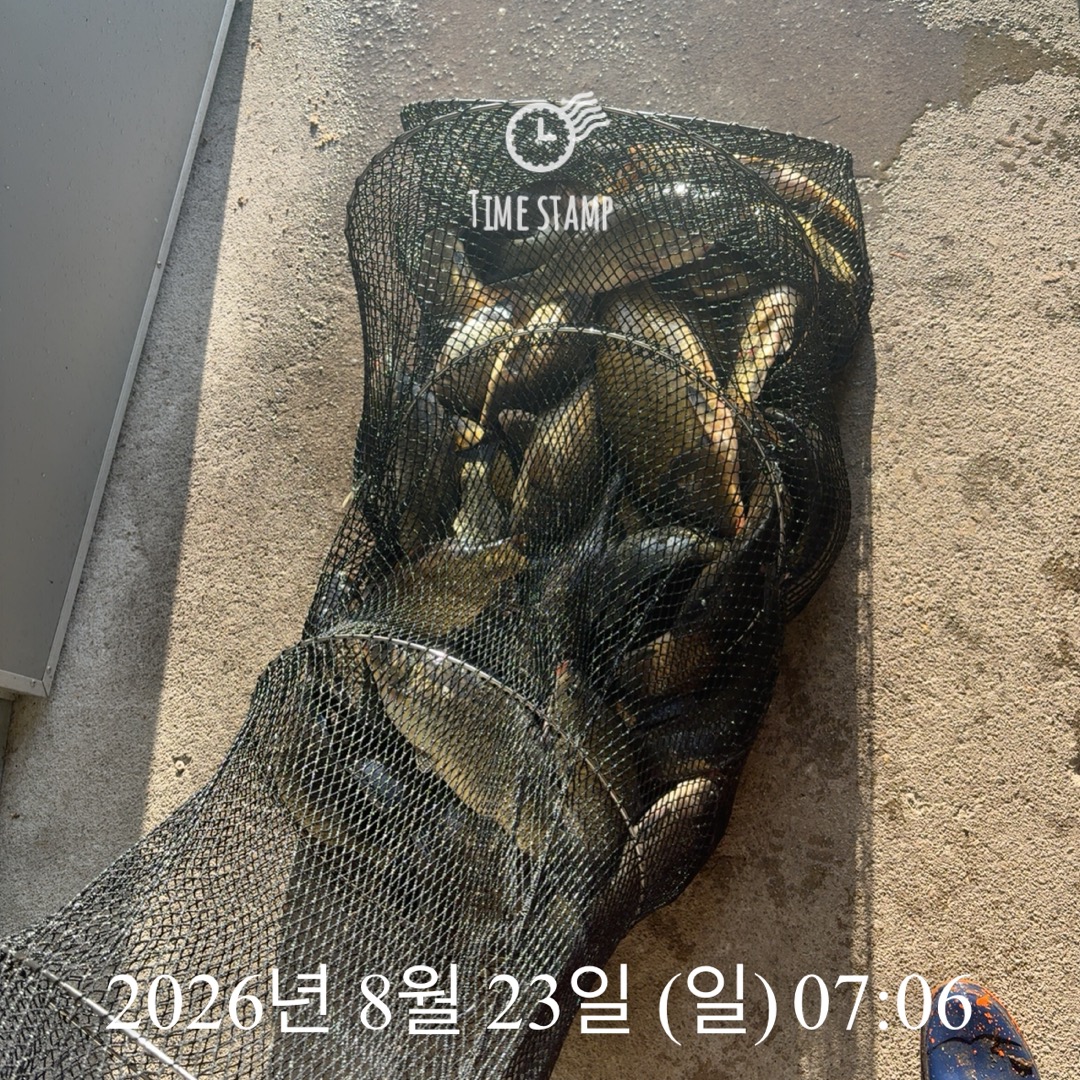 KakaoTalk_20260825_080421436_14.jpg