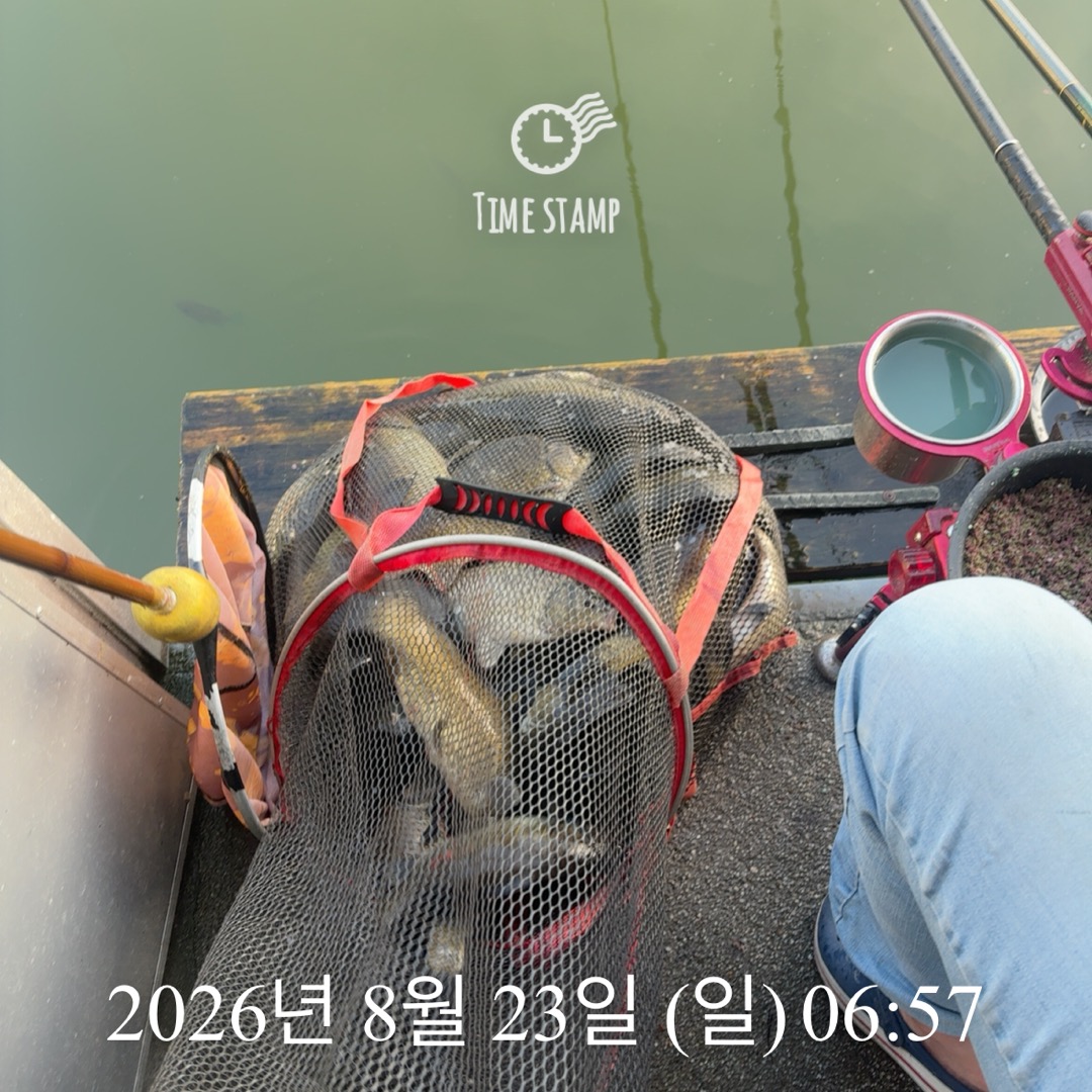 KakaoTalk_20260825_080421436_16.jpg