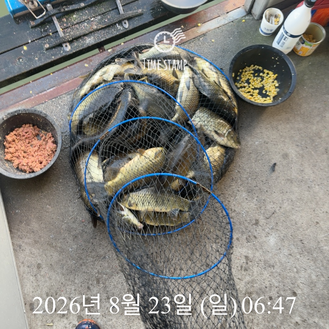 KakaoTalk_20260825_080421436_20.jpg