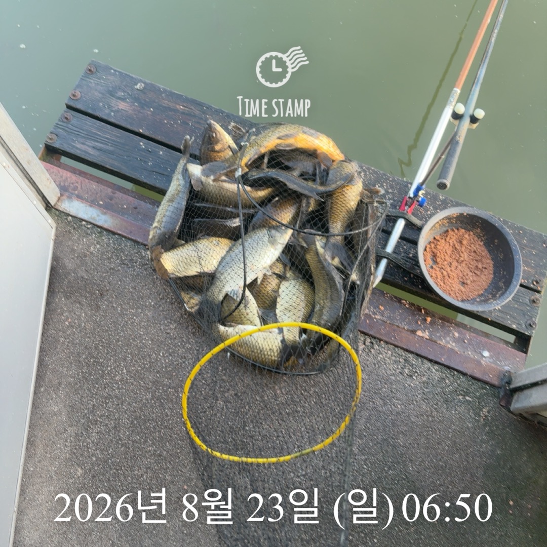 KakaoTalk_20260825_080421436_19.jpg