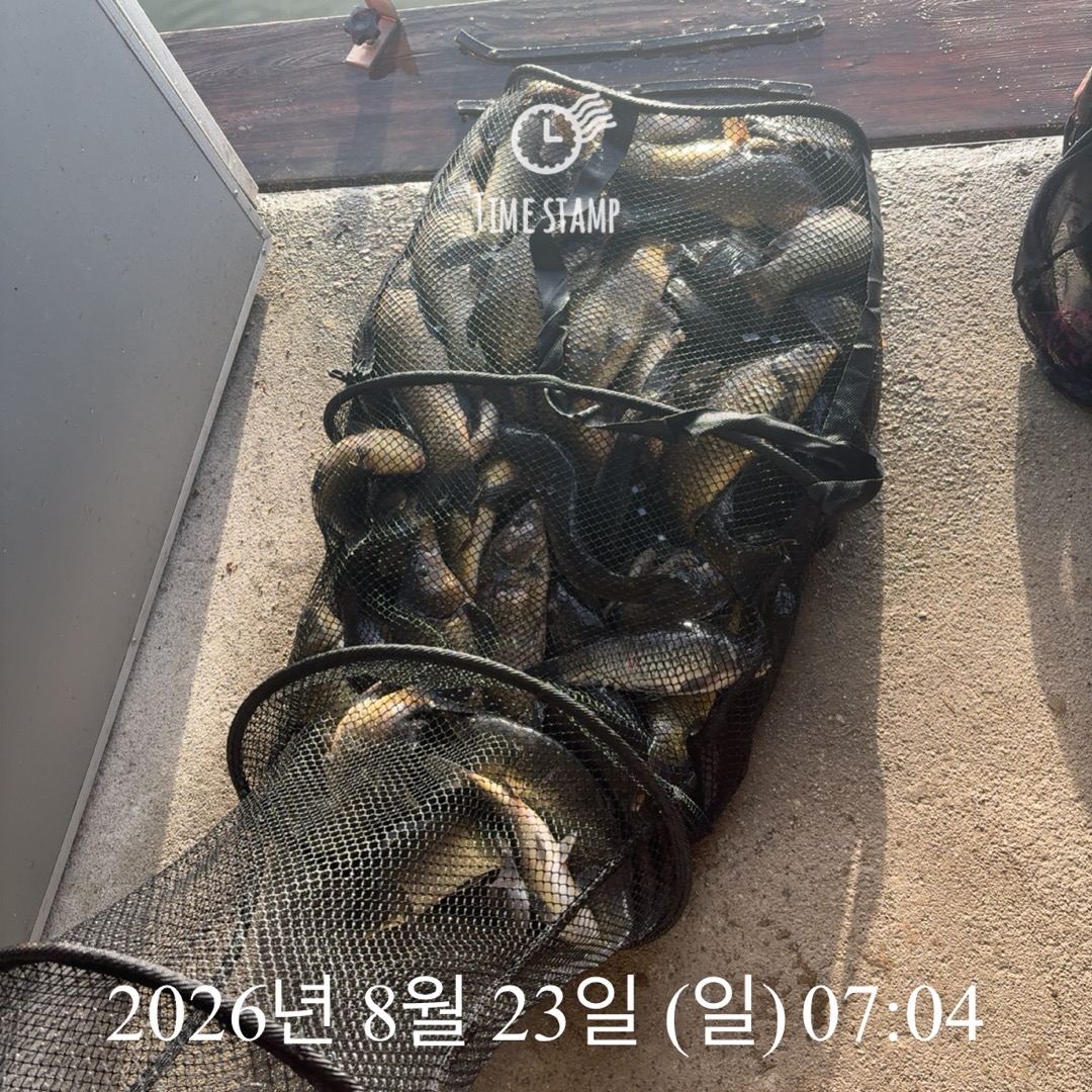 KakaoTalk_20260825_080421436_15.jpg