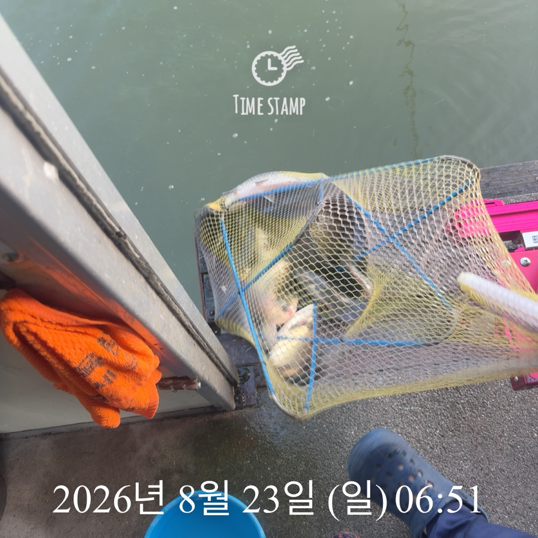 KakaoTalk_20260825_080421436_18.jpg