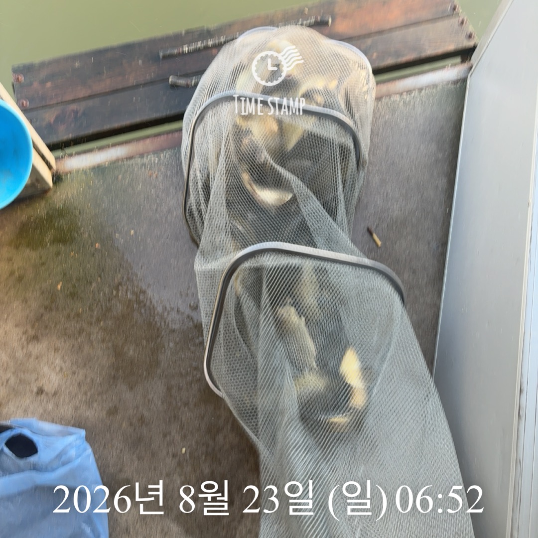 KakaoTalk_20260825_080421436_17.jpg