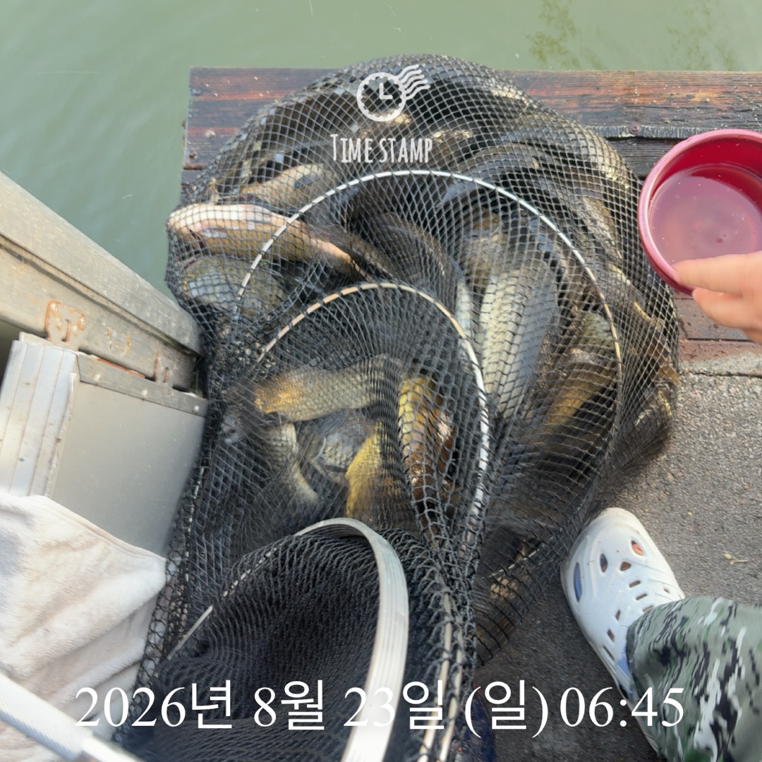 KakaoTalk_20260825_080421436_22.jpg