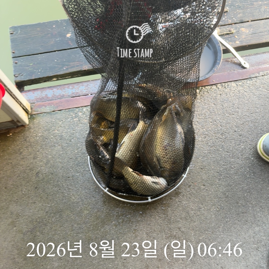 KakaoTalk_20260825_080421436_21.jpg