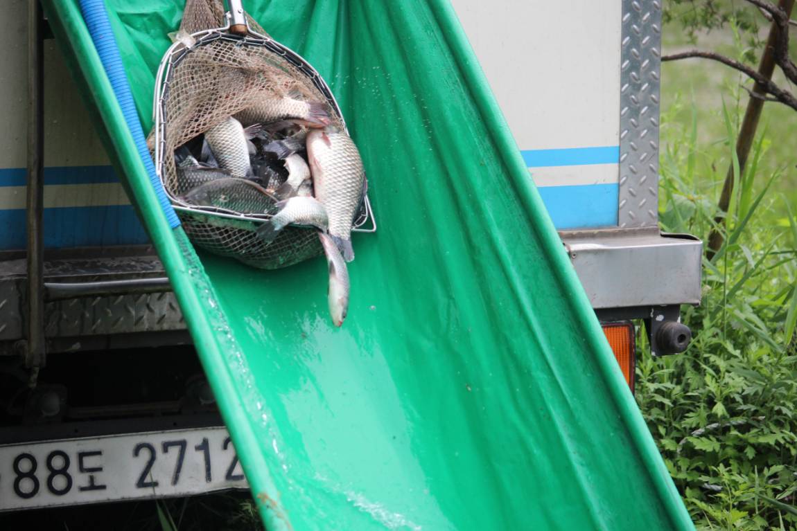 IMG_8174.JPG