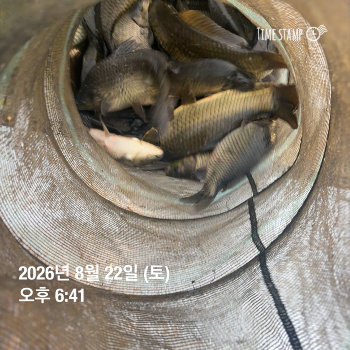 KakaoTalk_20260826_171726708_03.jpg