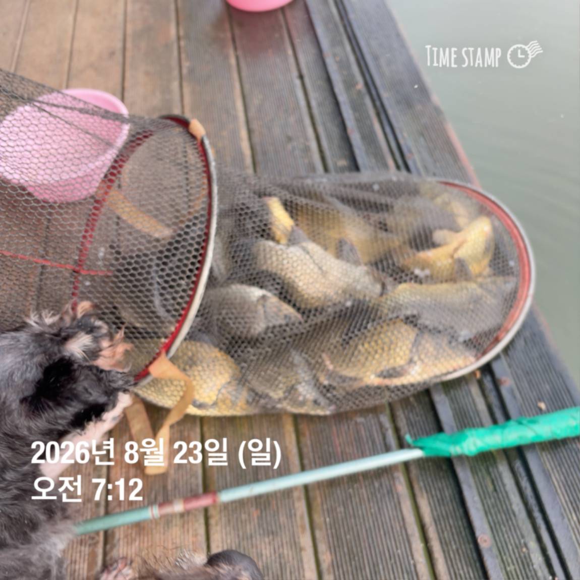 KakaoTalk_20260826_171726708_07.jpg