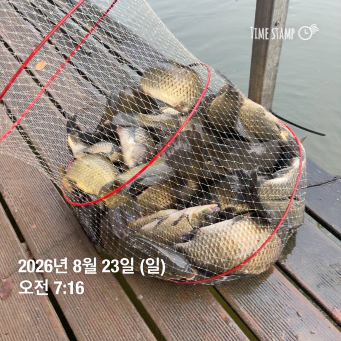 KakaoTalk_20260826_171726708_09.jpg