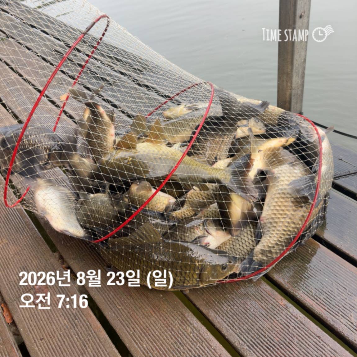 KakaoTalk_20260826_171726708_10.jpg