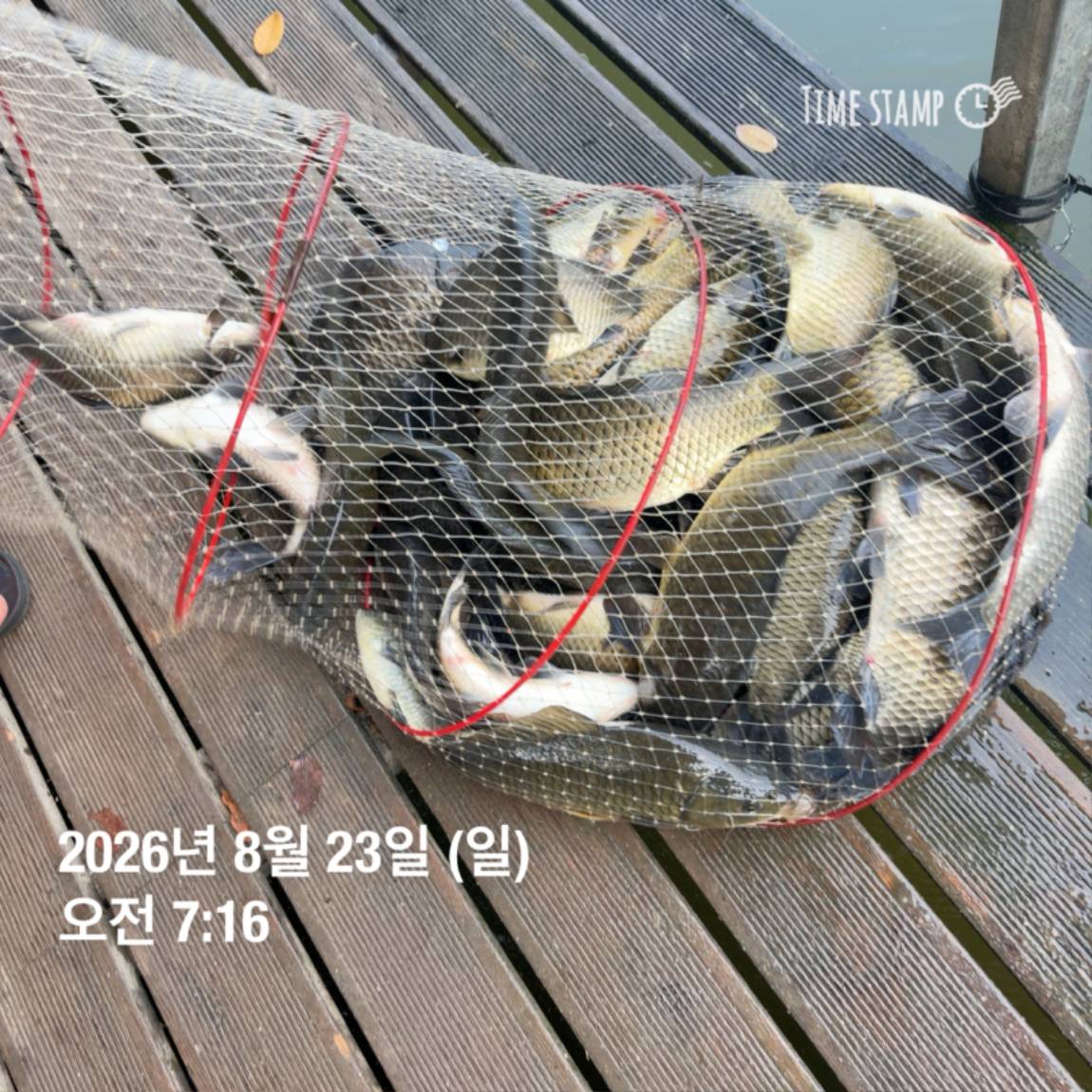 KakaoTalk_20260826_171726708_11.jpg