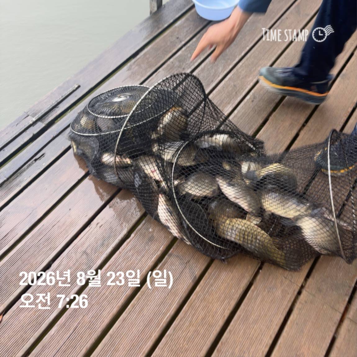 KakaoTalk_20260826_171726708_12.jpg