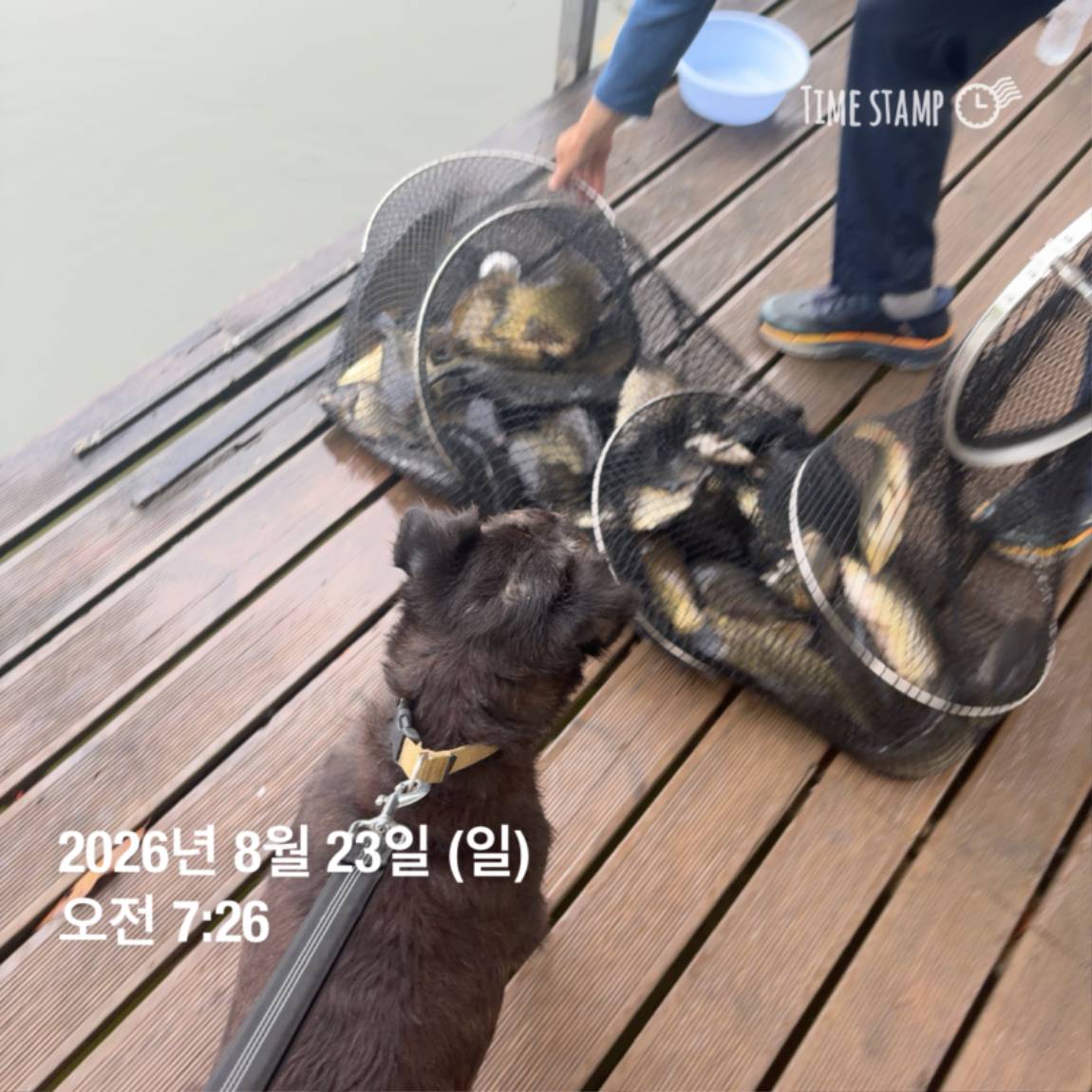 KakaoTalk_20260826_171726708_13.jpg