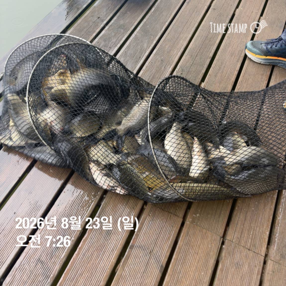 KakaoTalk_20260826_171726708_14.jpg