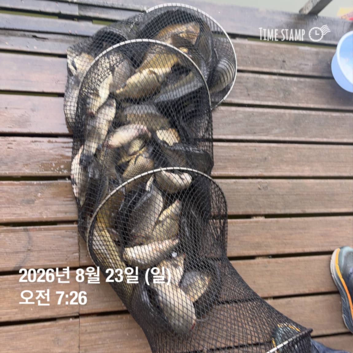 KakaoTalk_20260826_171726708_15.jpg