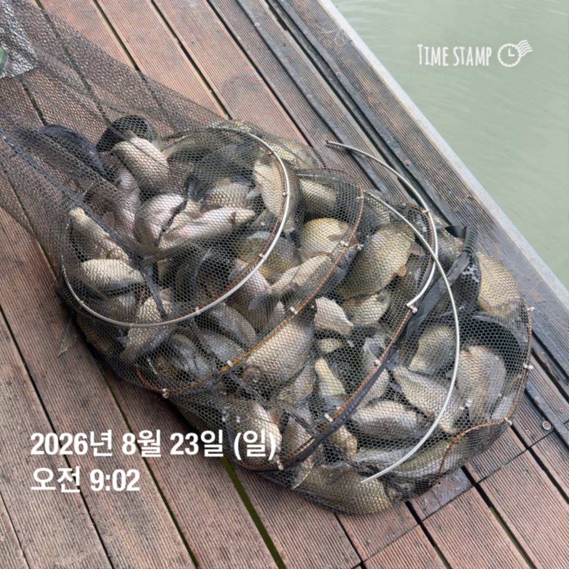 KakaoTalk_20260826_171726708_18.jpg