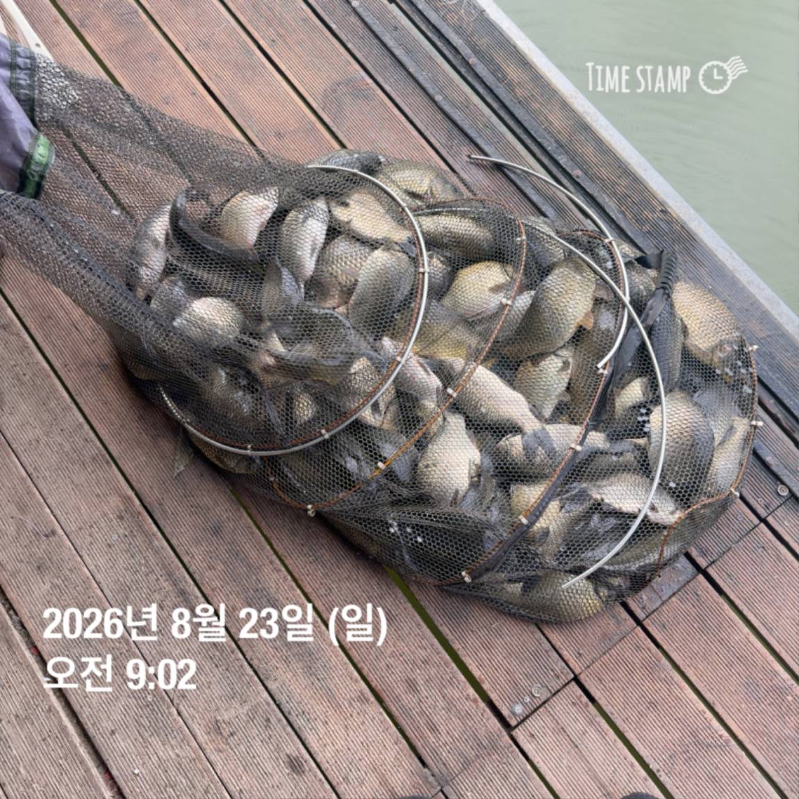 KakaoTalk_20260826_171726708_19.jpg