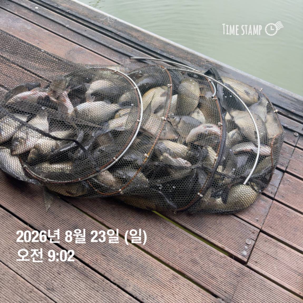 KakaoTalk_20260826_171726708_20.jpg