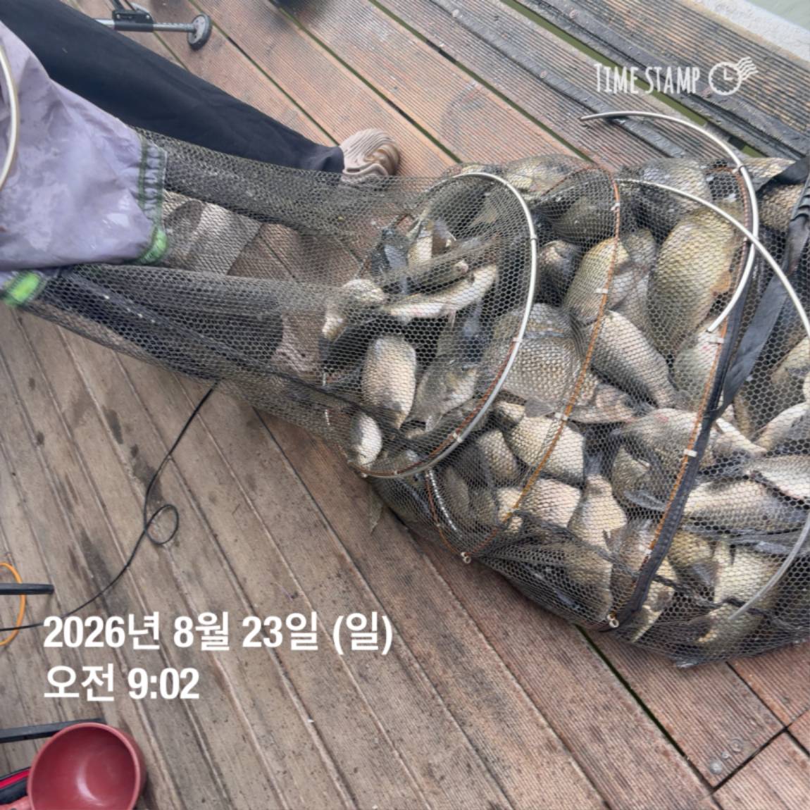 KakaoTalk_20260826_171726708_21.jpg