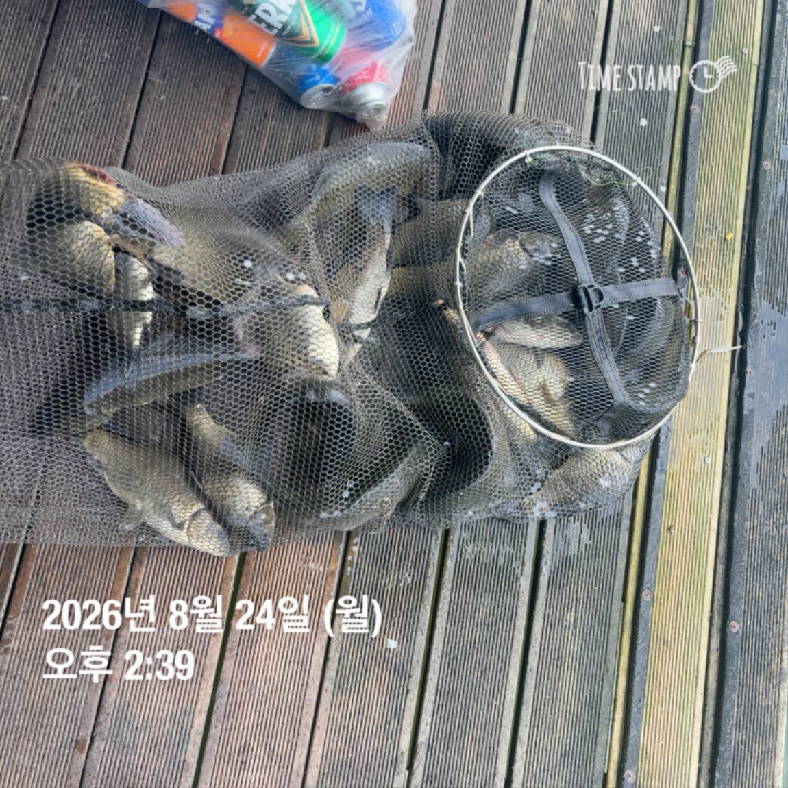 KakaoTalk_20260826_171726708_28.jpg