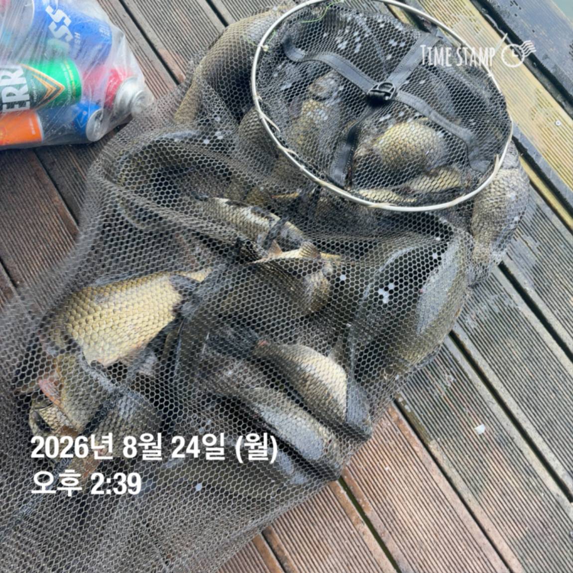 KakaoTalk_20260826_171726708_29.jpg