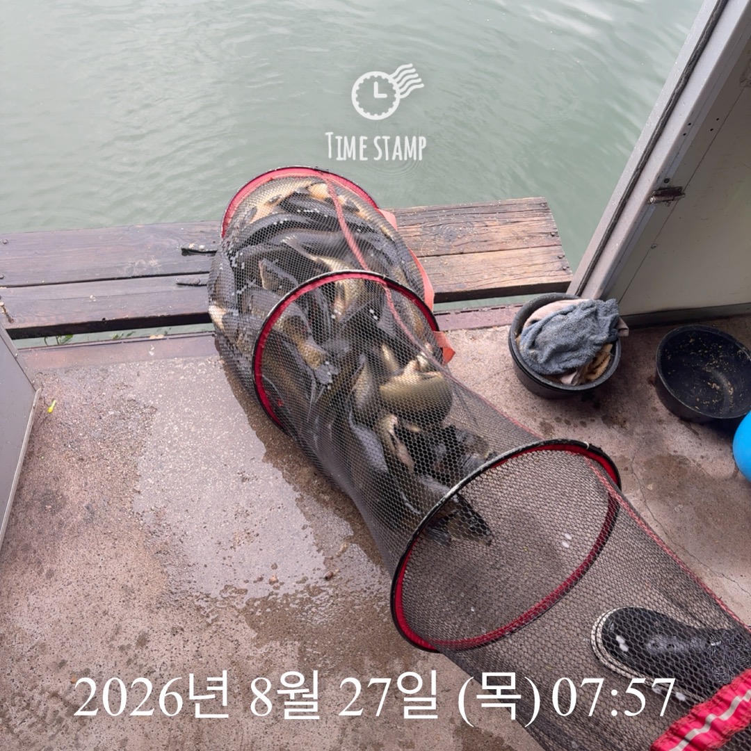 KakaoTalk_20260827_084226728.jpg