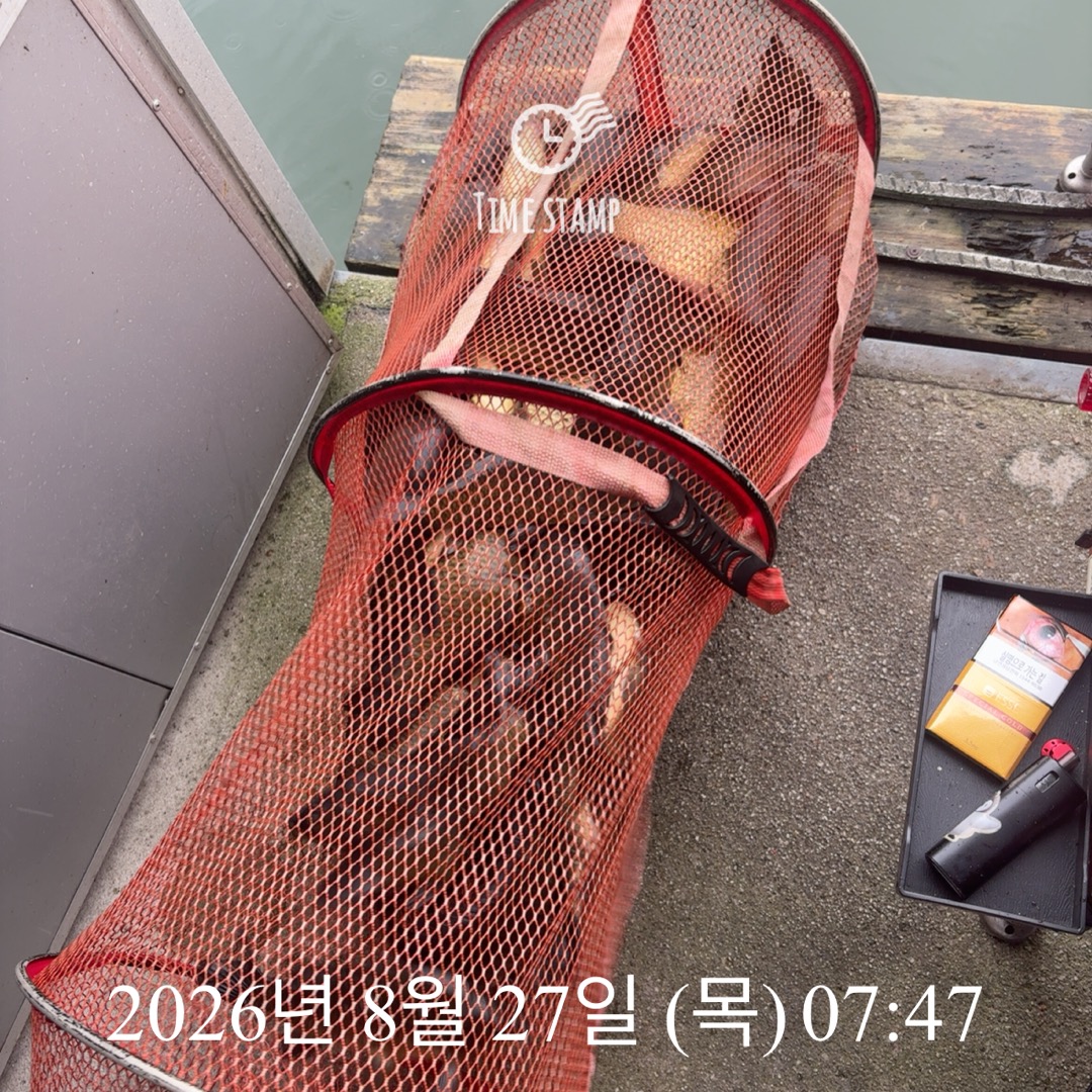 KakaoTalk_20260827_084226728_01.jpg