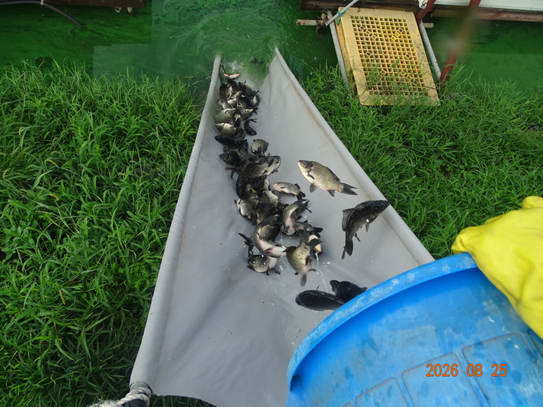 DSC07876.JPG