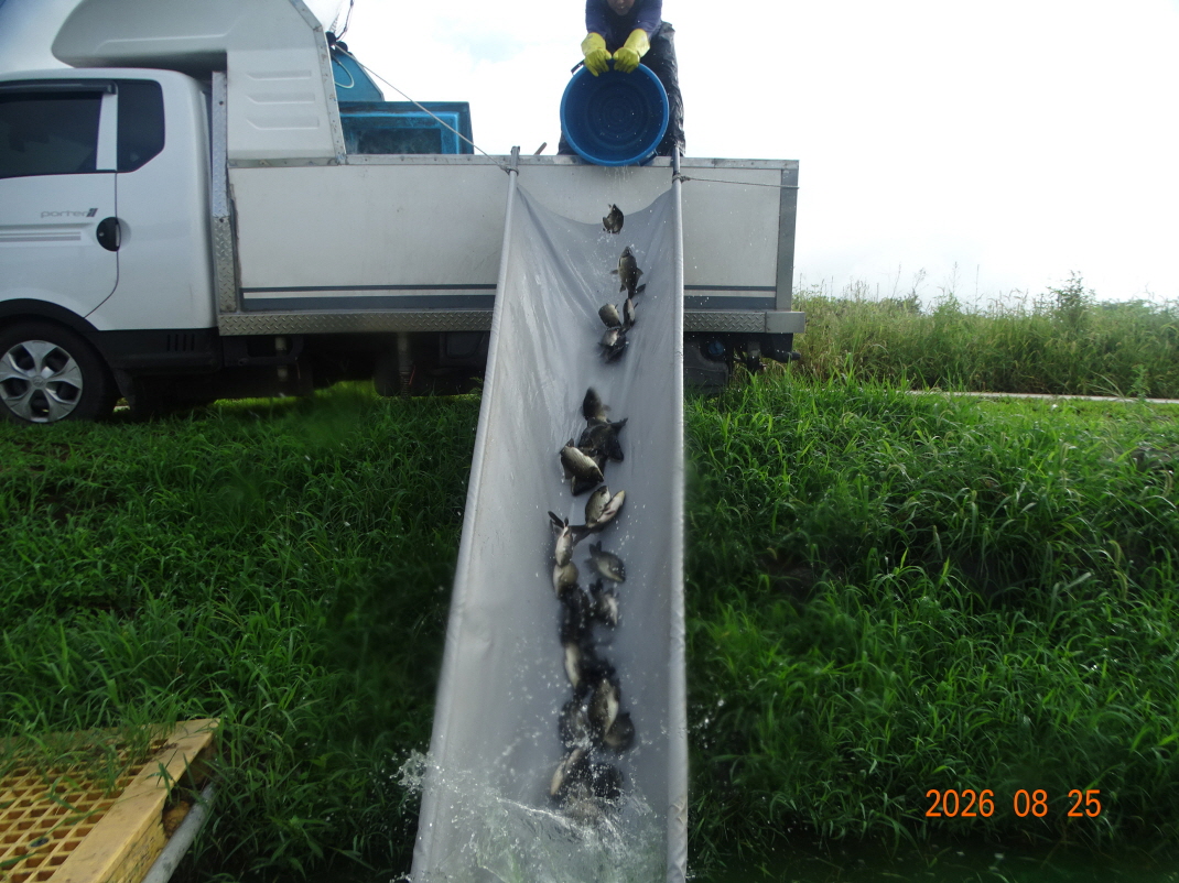 DSC07885.JPG