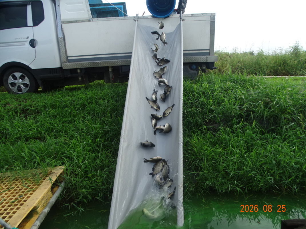 DSC07889.JPG