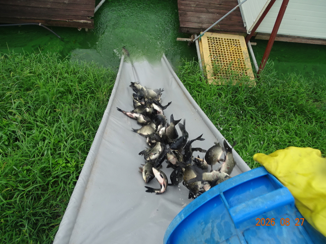DSC07934.JPG