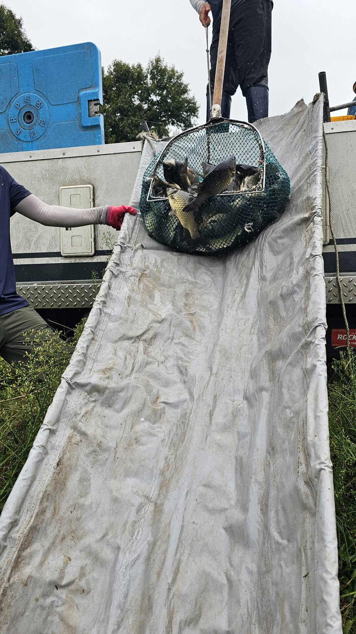 20250913_100732(0).jpg