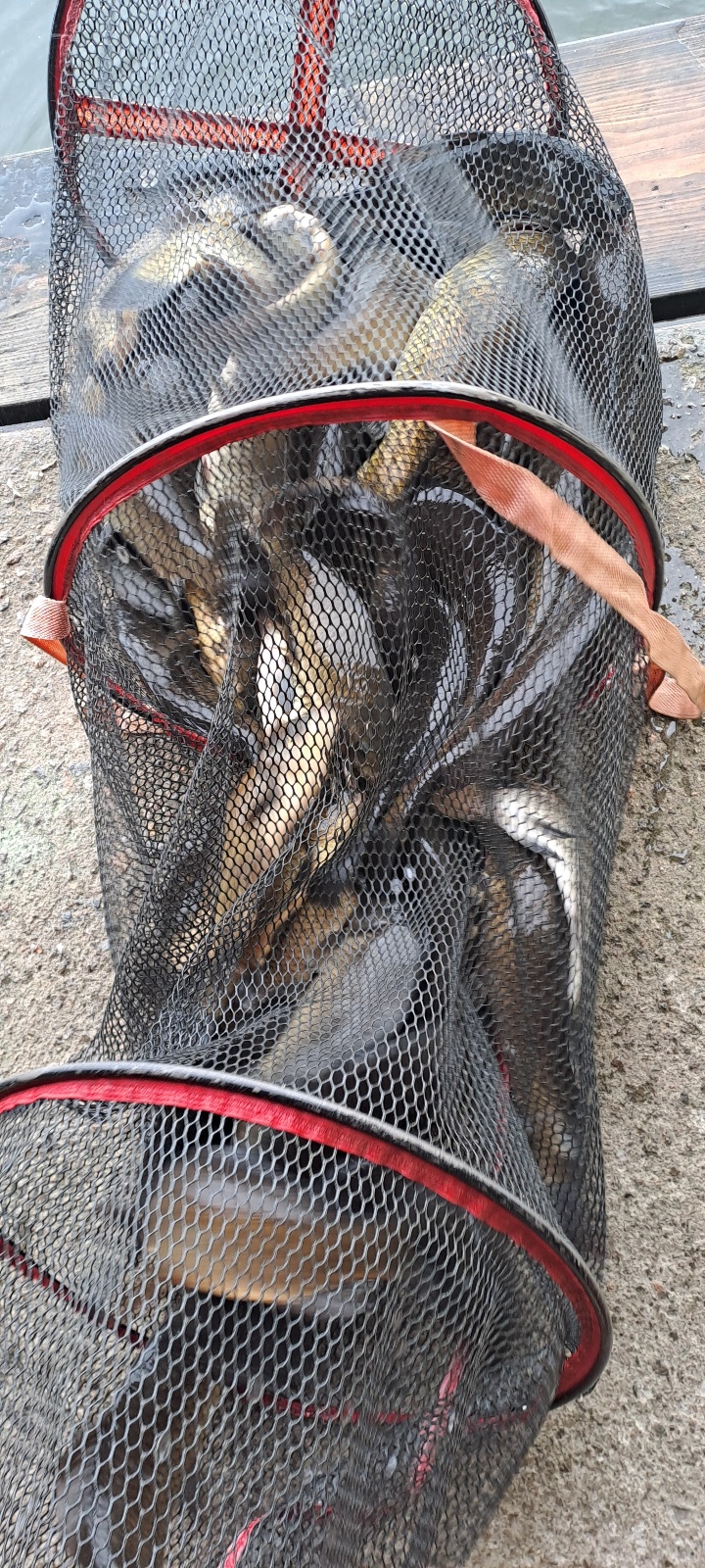 KakaoTalk_20260828_123749483_05.jpg