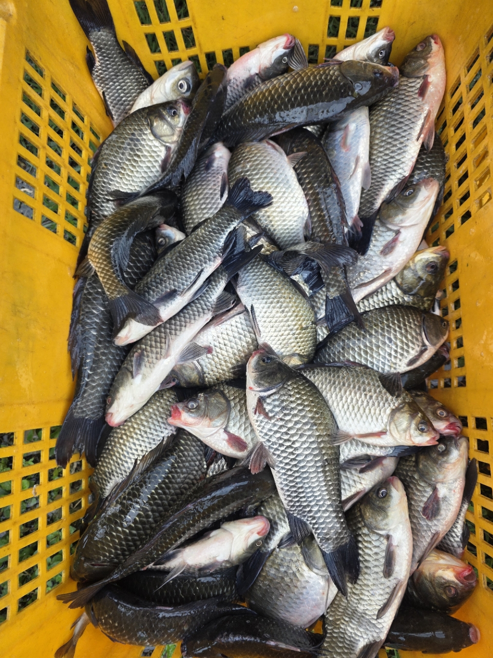 �⸮������_����_20260822_3.jpg