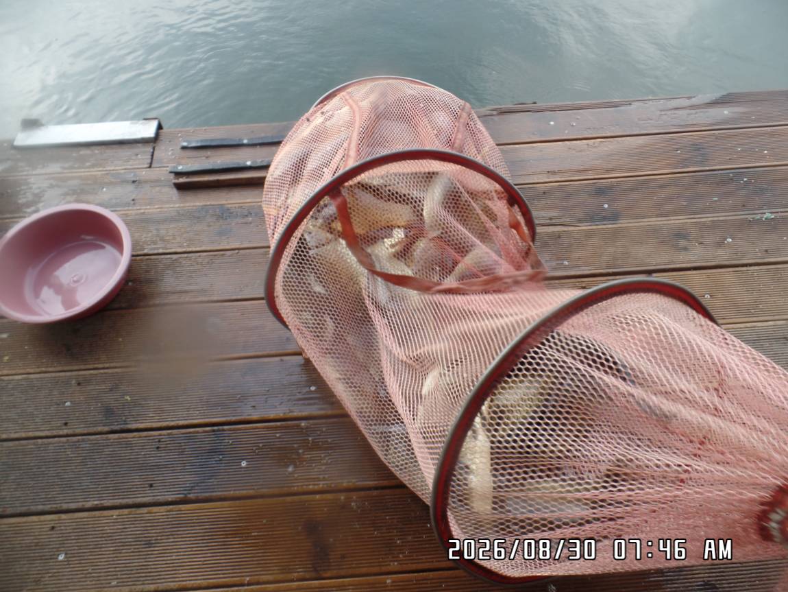 SAM_8764.JPG