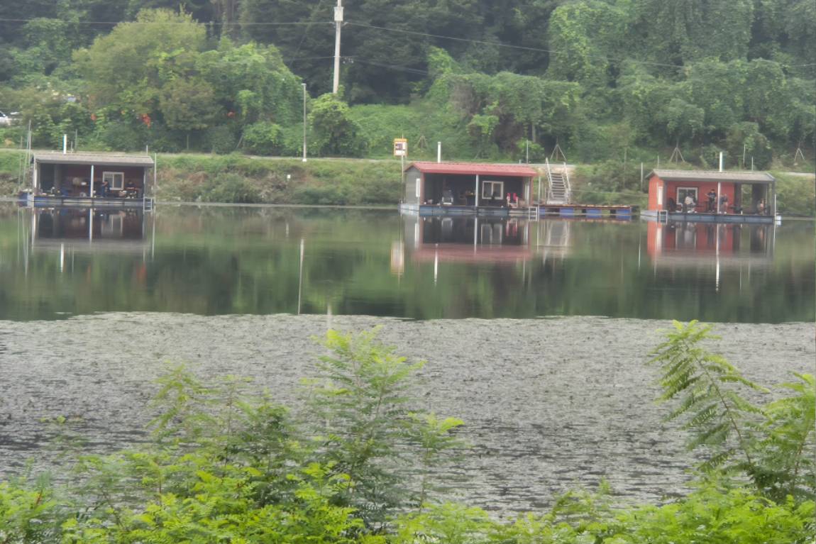 20260830_070710.jpg