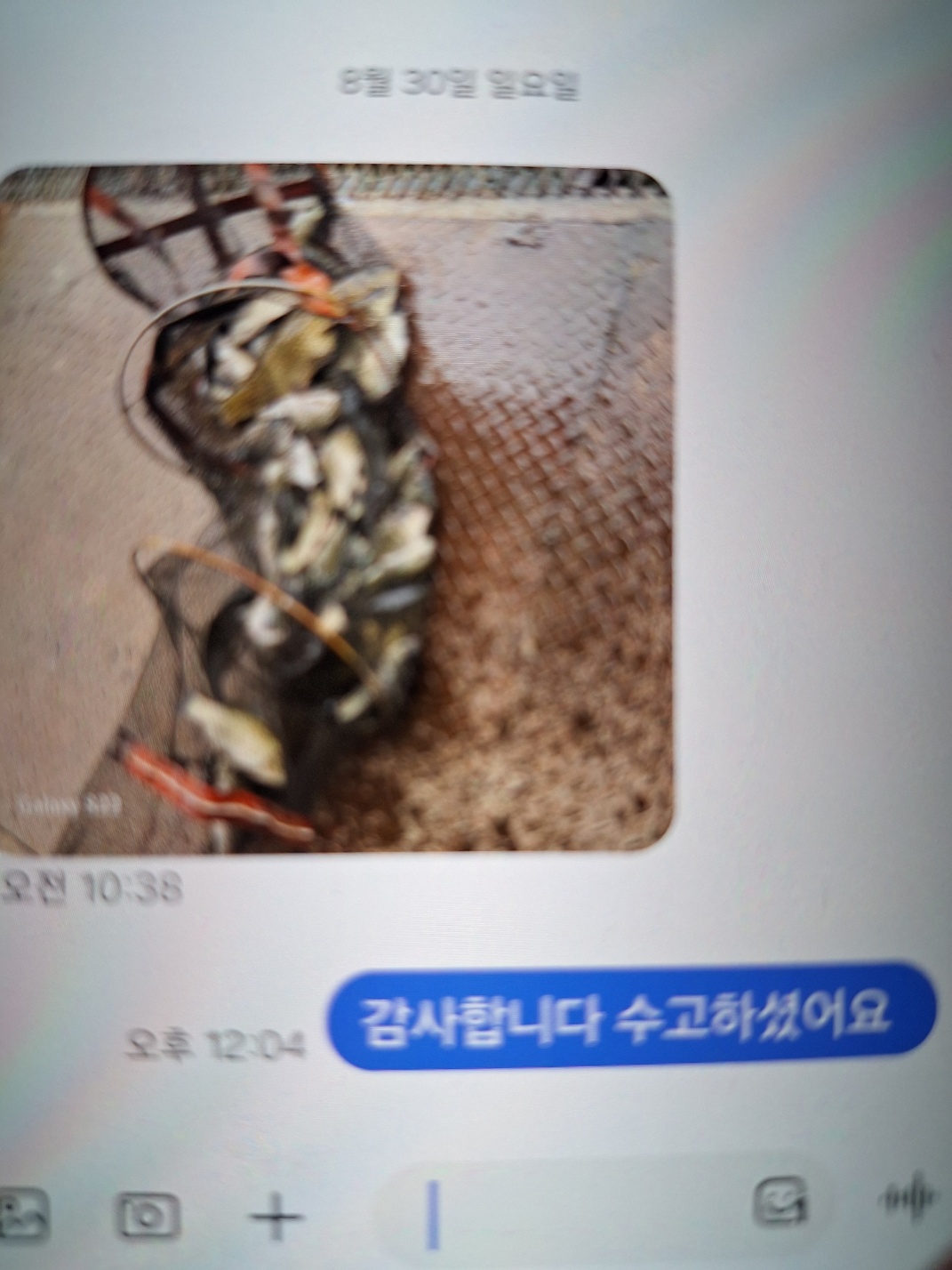 KakaoTalk_20260831_085855674.jpg