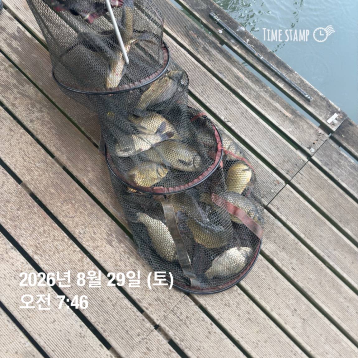 KakaoTalk_20260831_111229538_07.jpg