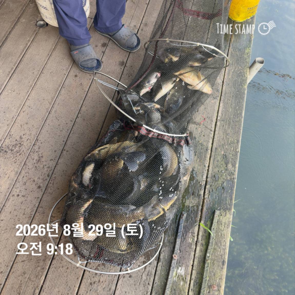 KakaoTalk_20260831_111229538_08.jpg