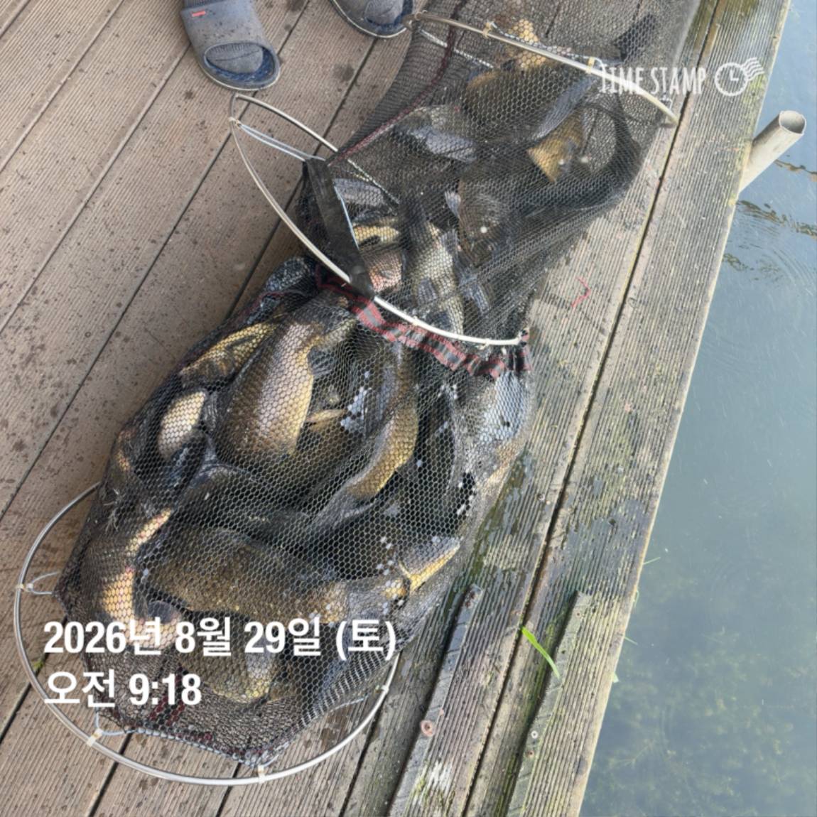 KakaoTalk_20260831_111229538_09.jpg