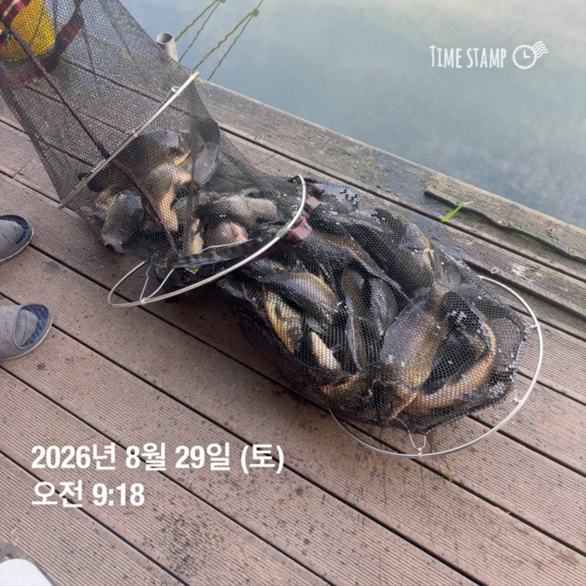 KakaoTalk_20260831_111229538_10.jpg
