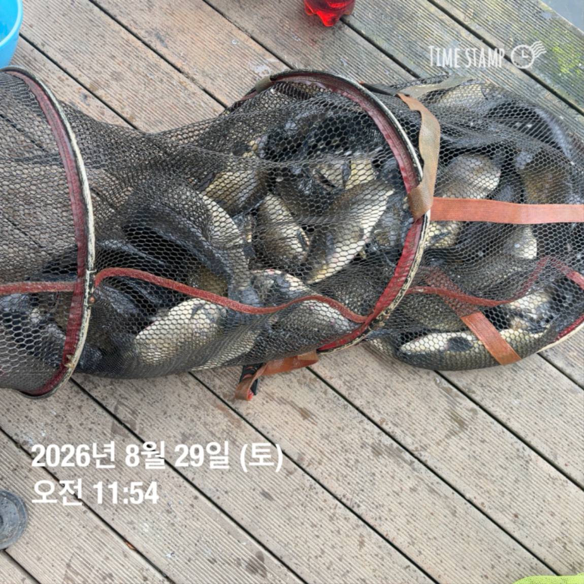 KakaoTalk_20260831_111229538_15.jpg