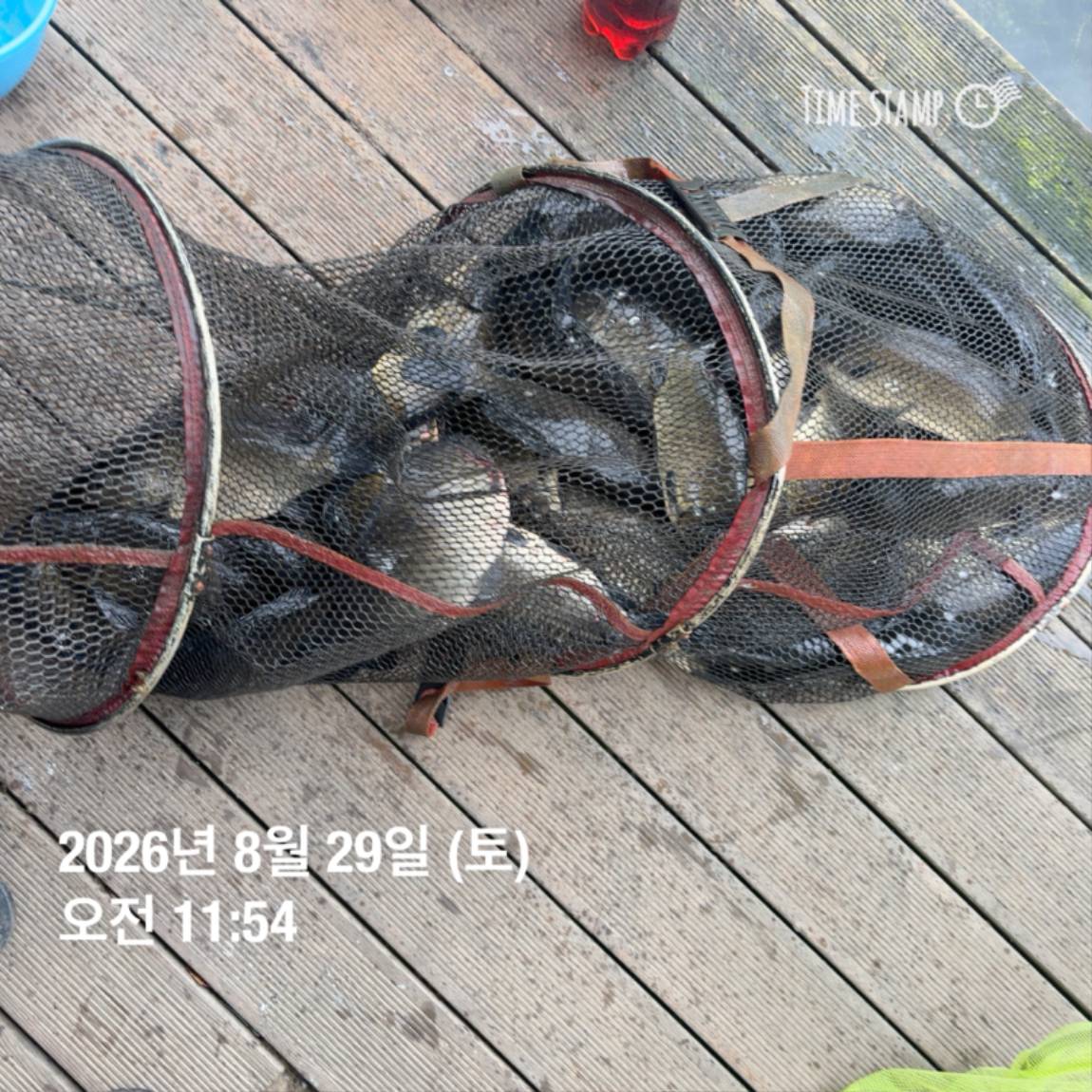 KakaoTalk_20260831_111229538_16.jpg