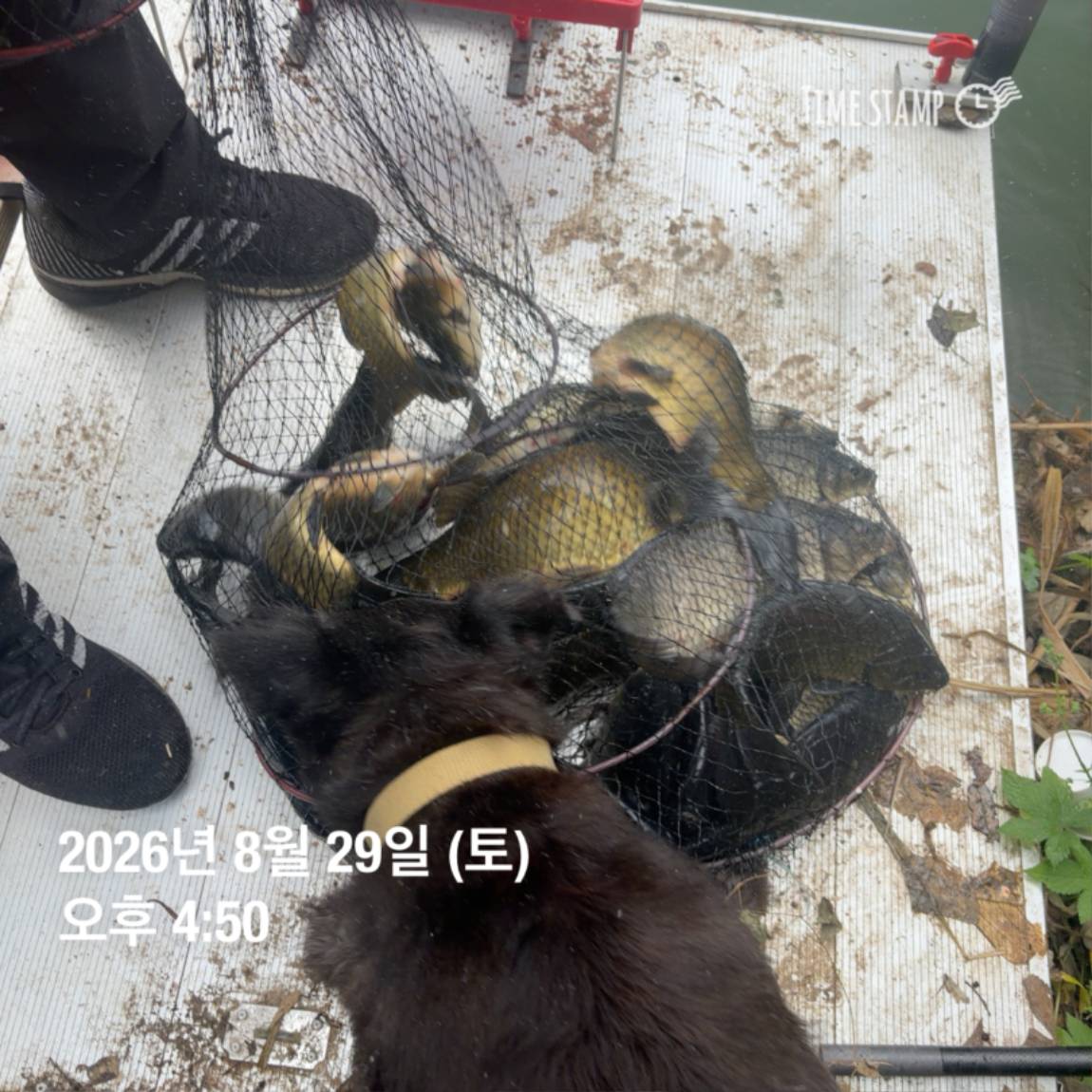 KakaoTalk_20260831_111229538_17.jpg