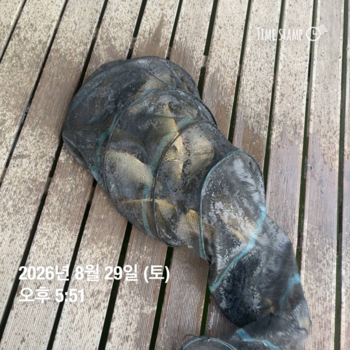 KakaoTalk_20260831_111229538_20.jpg