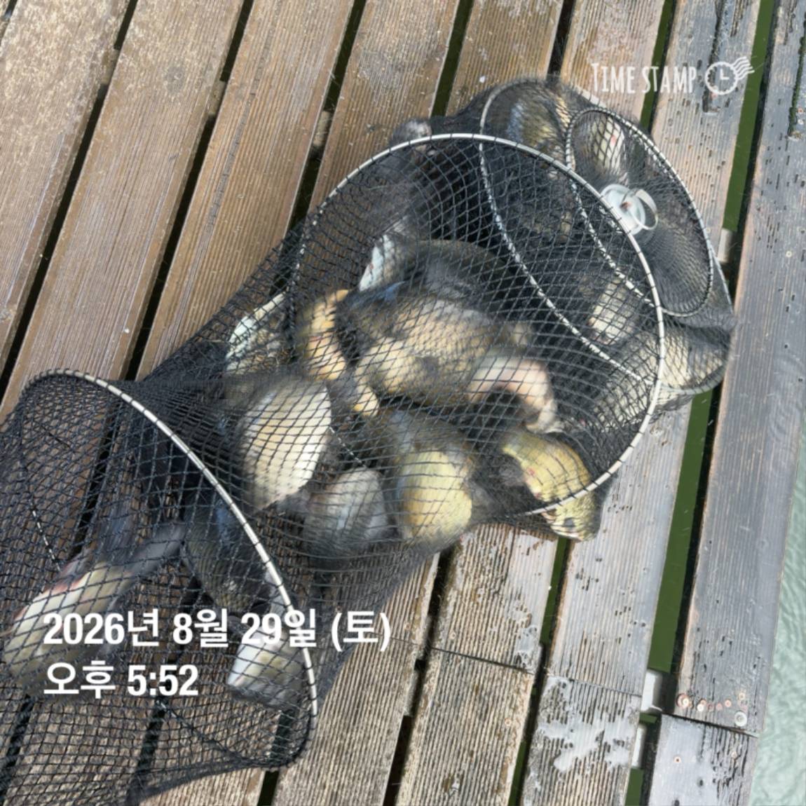 KakaoTalk_20260831_111229538_25.jpg